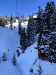 20210414-grindelwald-6036.jpg