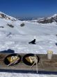 20210423-glacier3000-6398.jpg