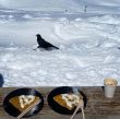 20210423-glacier3000-6398b.jpg