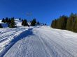 20211217-gurnigel-ski-6103.jpg
