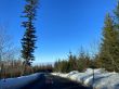 20211217-gurnigel-ski-6133.jpg