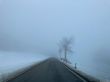 20211217-gurnigel-ski-6134.jpg