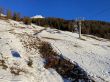 20220101-ftan-6890.jpg