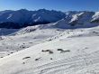 20220119-sedrun-7775.jpg