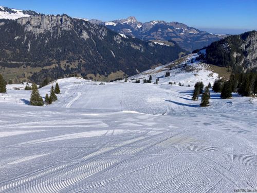 Wiriehorn, 8.3.2022
