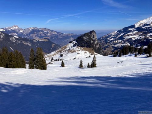 Wiriehorn, 8.3.2022
