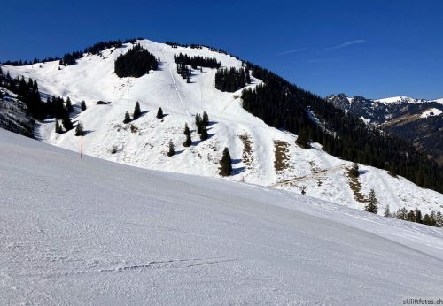 Wiriehorn, 8.3.2022
