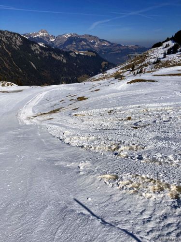 Wiriehorn, 8.3.2022
