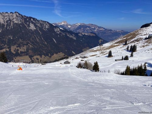 Wiriehorn, 8.3.2022
