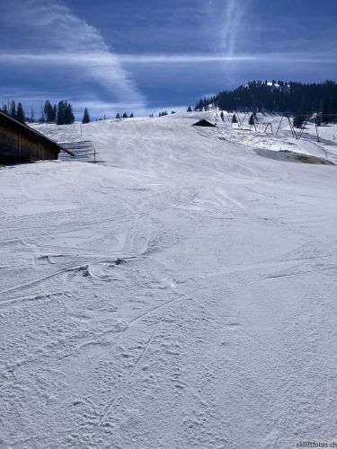 Wiriehorn, 8.3.2022
