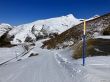 20220427-a-grindelwald-1486.jpg