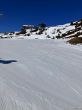 20220427-a-grindelwald-1495.jpg