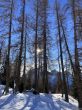 20260114-scuol-008.jpg