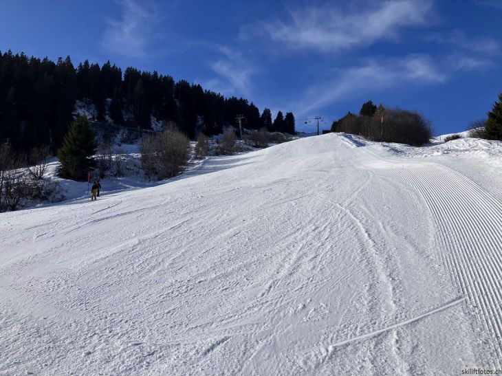 21. Januar 2026

