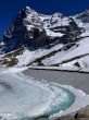 20260424-a-grindelwald-070.jpg