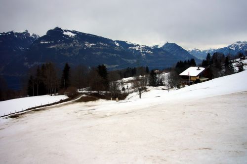 Die Schneelage ist nach Föhntagen langsam prekär an diesem 25. Februar 2010... aber schöner Sulz!

