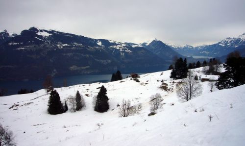 25. Februar 2010
