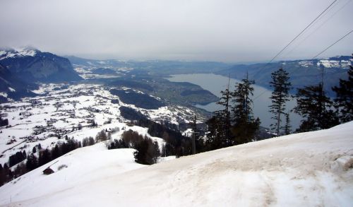 25. Februar 2010
