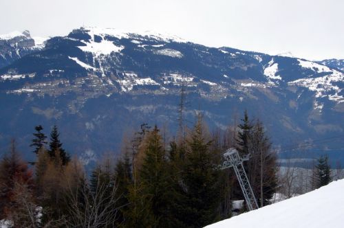 25. Februar 2010

