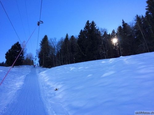 26. Februar 2014
