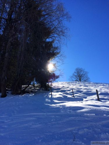 26. Februar 2014
