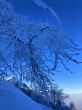 20211222-aeschiallmend-6491.jpg