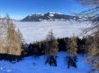 20211222-aeschiallmend-6509.jpg