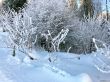 20211222-aeschiallmend-6527.jpg