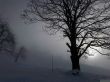 20211222-aeschiallmend-6549.jpg