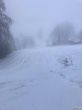 20211222-aeschiallmend-6550.jpg