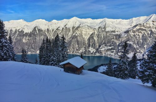 18. Januar 2016
