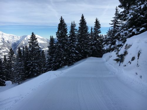 18. Januar 2016
