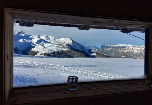 18. Januar 2016
