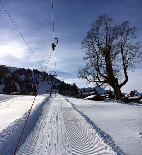 18. Januar 2016
