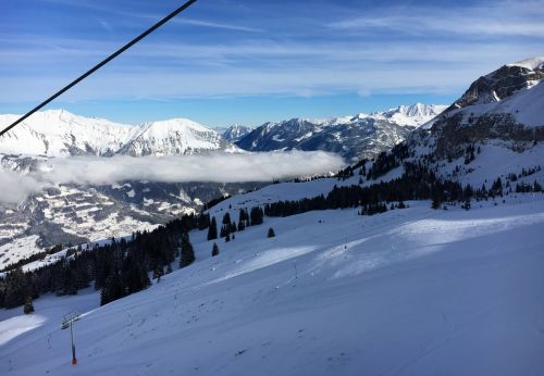 18. Januar 2016
