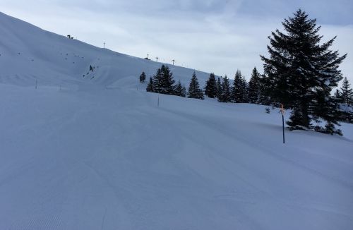 18. Januar 2016
