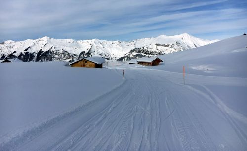 18. Januar 2016
