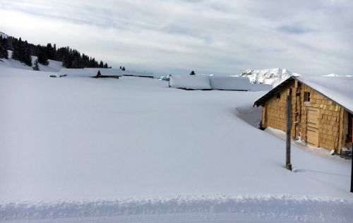 18. Januar 2016
