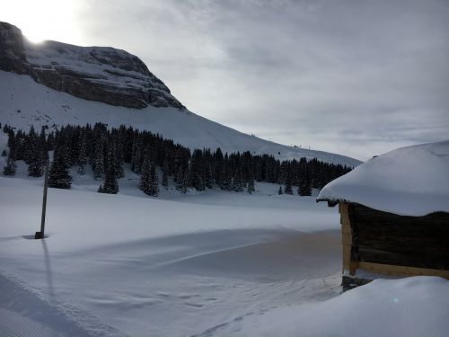 18. Januar 2016
