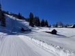 20260317-axalp-010.jpg