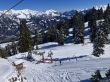 20260317-axalp-023.jpg
