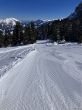 20260317-axalp-043.jpg
