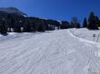 20260317-axalp-069.jpg