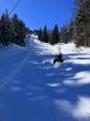 20260317-axalp-073.jpg