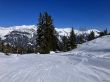 20260317-axalp-074.jpg