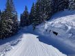 20260317-axalp-084.jpg