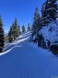 20260317-axalp-085.jpg