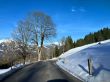 20260317-axalp-116.jpg