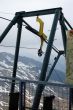 20090421-engstligenalp-0844.jpg