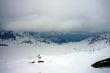 20090421-engstligenalp-0949.jpg